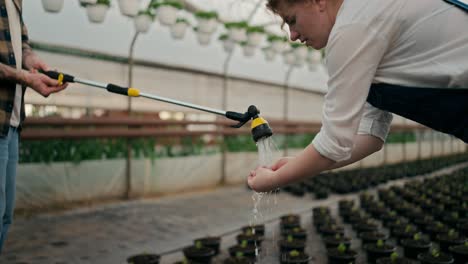 Close-up-a-farmer-girl-with-curly-hair-washes-her-hands-under-a-watering-can-that-her-colleague-a-guy-is-holding-for-her-at-work-in-a-greenhouse-on-a-farm