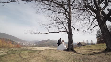 a wedding couple on a swing in the mountains