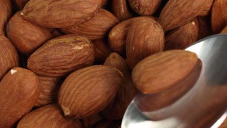 almonds in a spoon