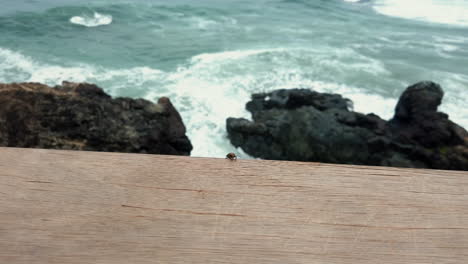 Port-Macquarie-Town-in-Australia---A-Beautiful-Scenery-Of-The-Ocean-Waves-Splashing-On-The-Rocks---Aerial-Shot