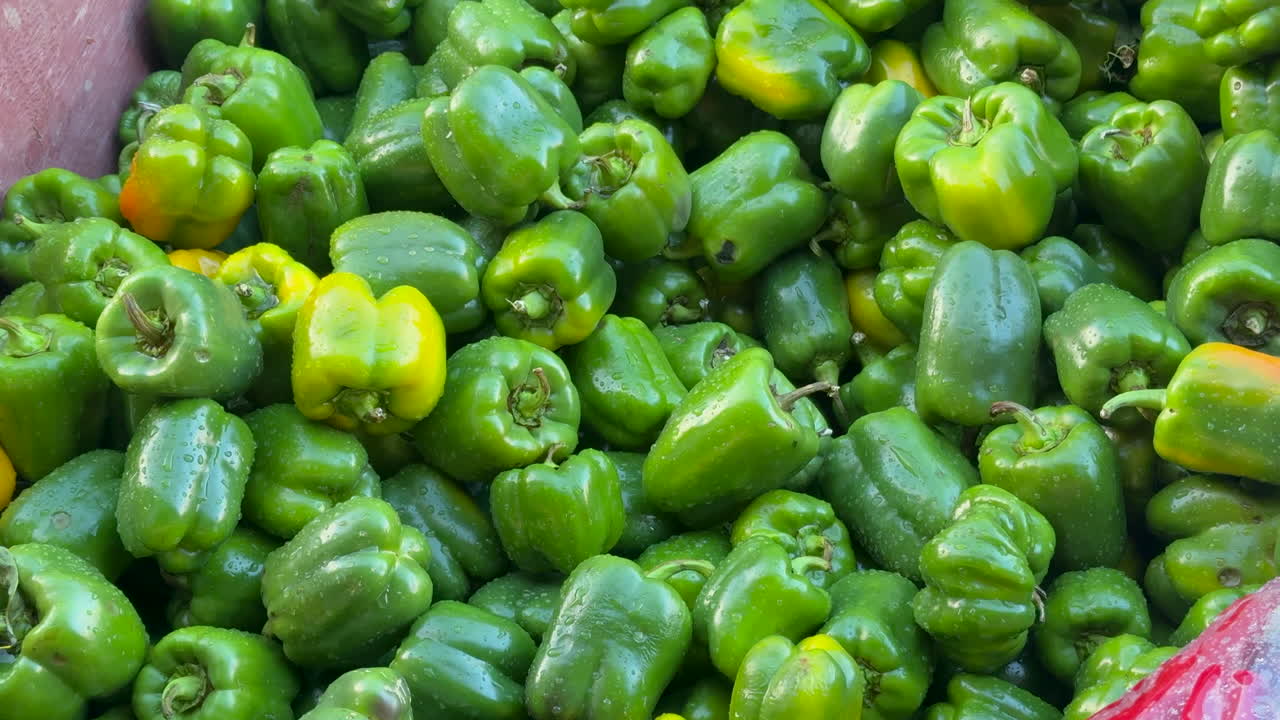 A vibrant pile of fresh green bell peppers ready for market sale.