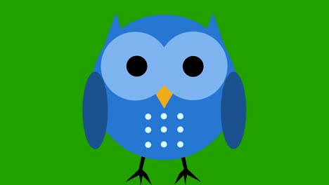 comic cartoon cute owl animation green screen cut out loop blue