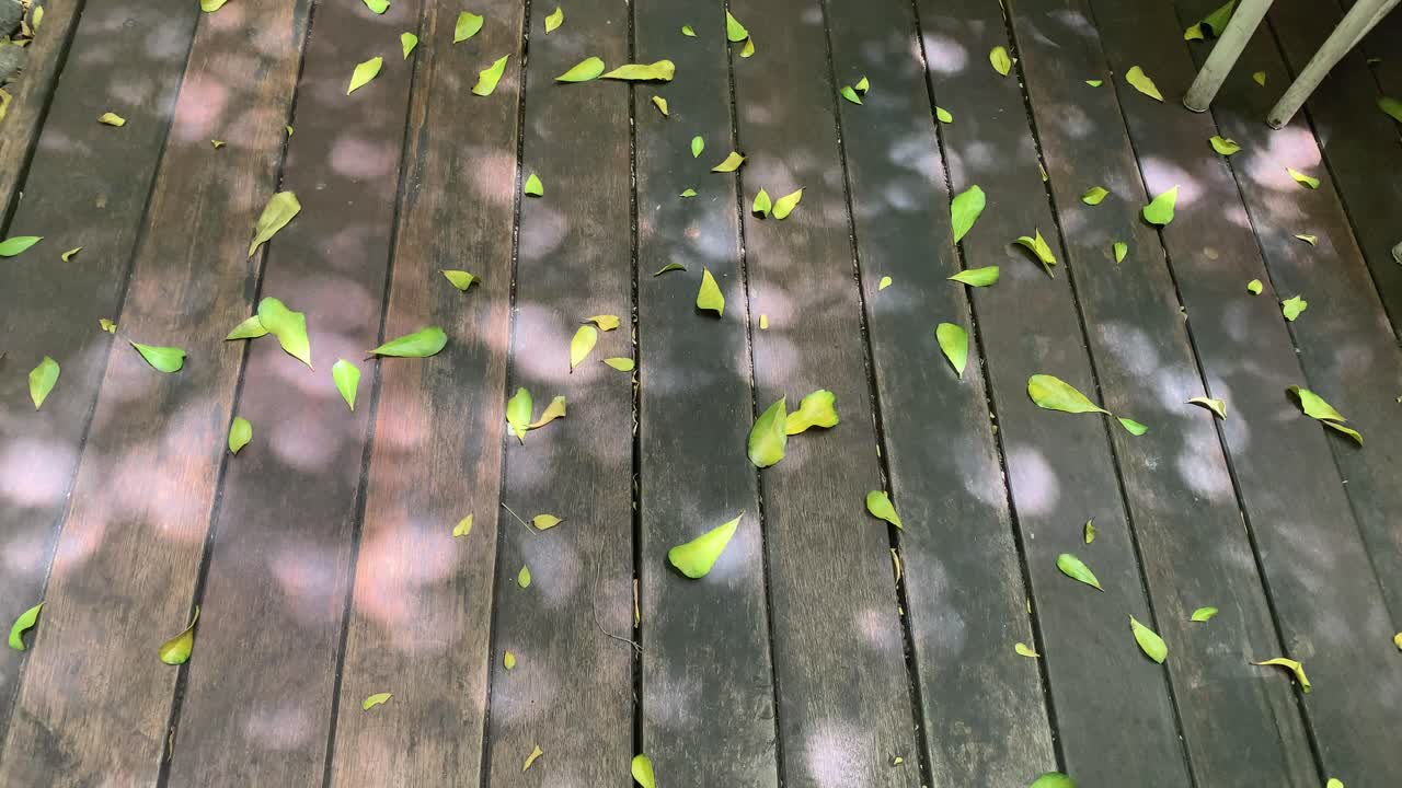 Dry leaves scattered on a wooden floor, creating a natural rustic atmosphere