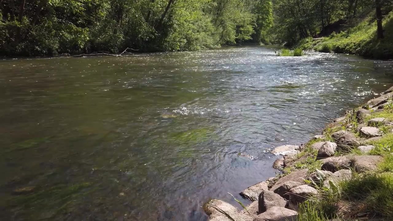 Il flusso del fiume circondato dal verde e dagli alberi