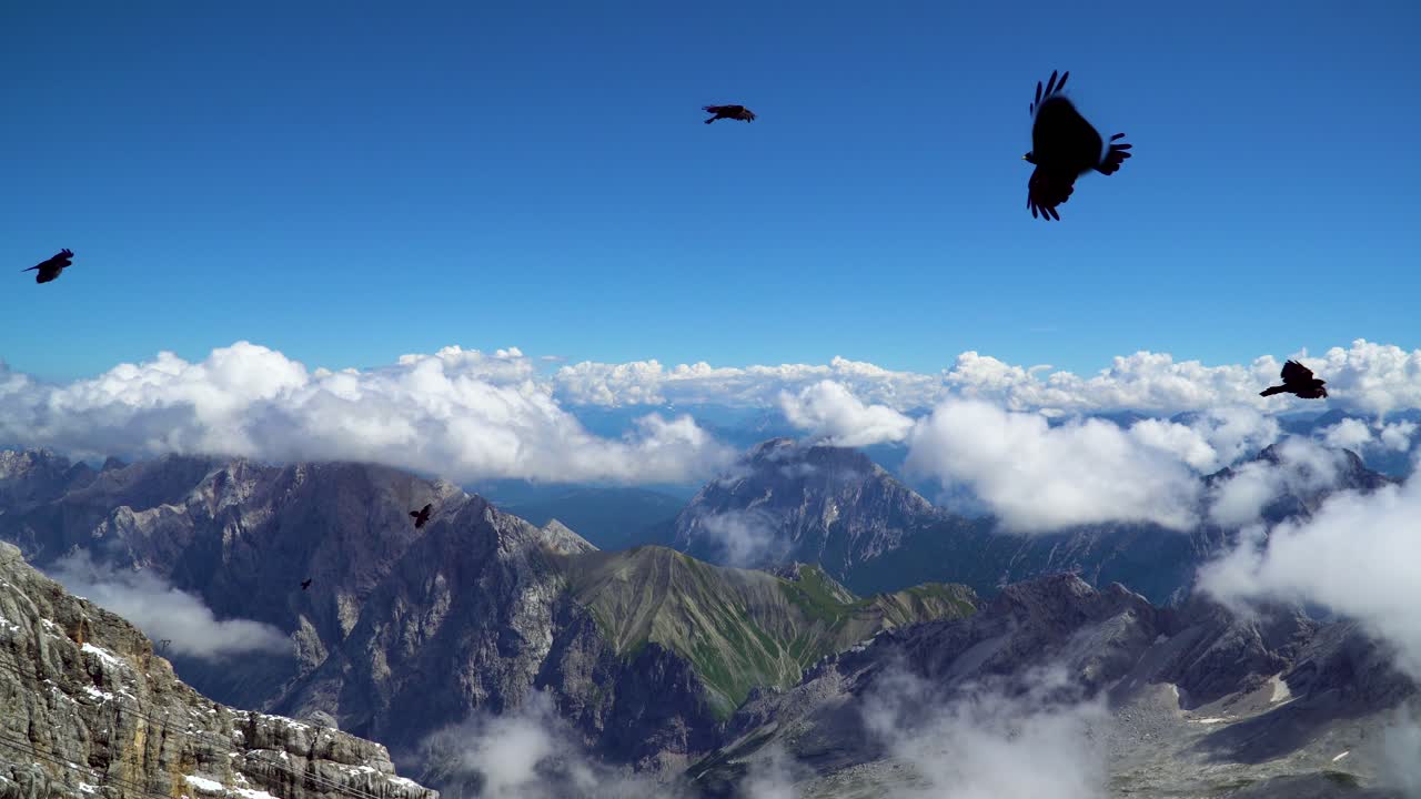 hermosa vista panorámica de la montaña por encima de las nubes con pájaros volando alto