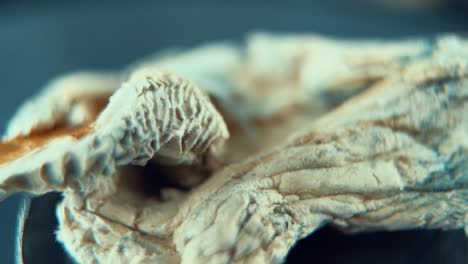 A-Macro-cinematic-close-up-rotating-shot-of-a-magical-psychoactive-psilocybin-hallucination-dried-mushroom-with-a-red-bown-cap,-studio-lighting,-slow-motion-120-fps,-Full-HD