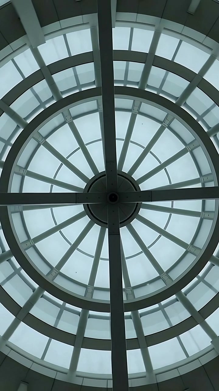 Vertical video: Filming skylight filling frame by camera tilting upward at atrium, showing mullions