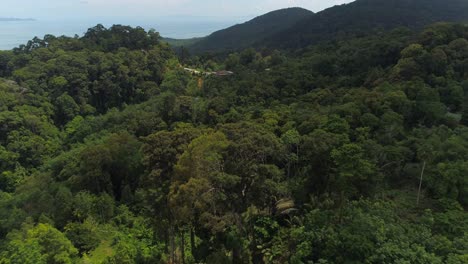 una vista aérea de una exuberante selva tropical