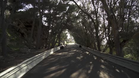 Empty-Road-with-Trees-Growing-All-Around-and-Sun-Rays-Shining-on-a-Bright-Winter-Day