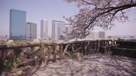 beautiful scenic cityscape of osaka, japan