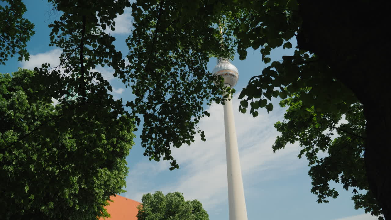 Berliner Fernsehturm und Baumkronen 01