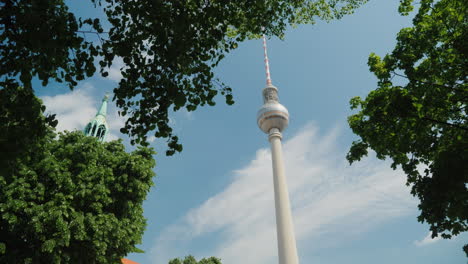 torre de televisión de berlín y dosel de árboles 01