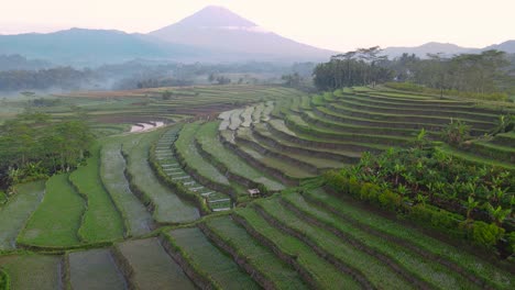 Vista-Aérea-Del-Campo-Agrícola-Del-Campo-De-Arroz-En-Terrazas-Con-Montaña-En-El-Fondo