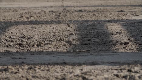 Slow-motion,-close-up-of-horse-feet-running-in-the-dirt