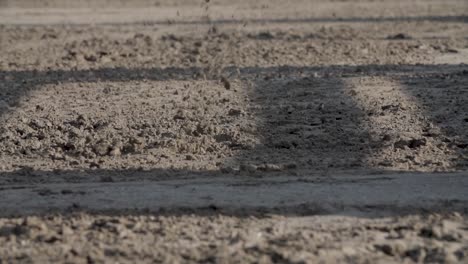 Cámara-Lenta,-Cerca-De-Pies-De-Caballo-Corriendo-En-La-Tierra