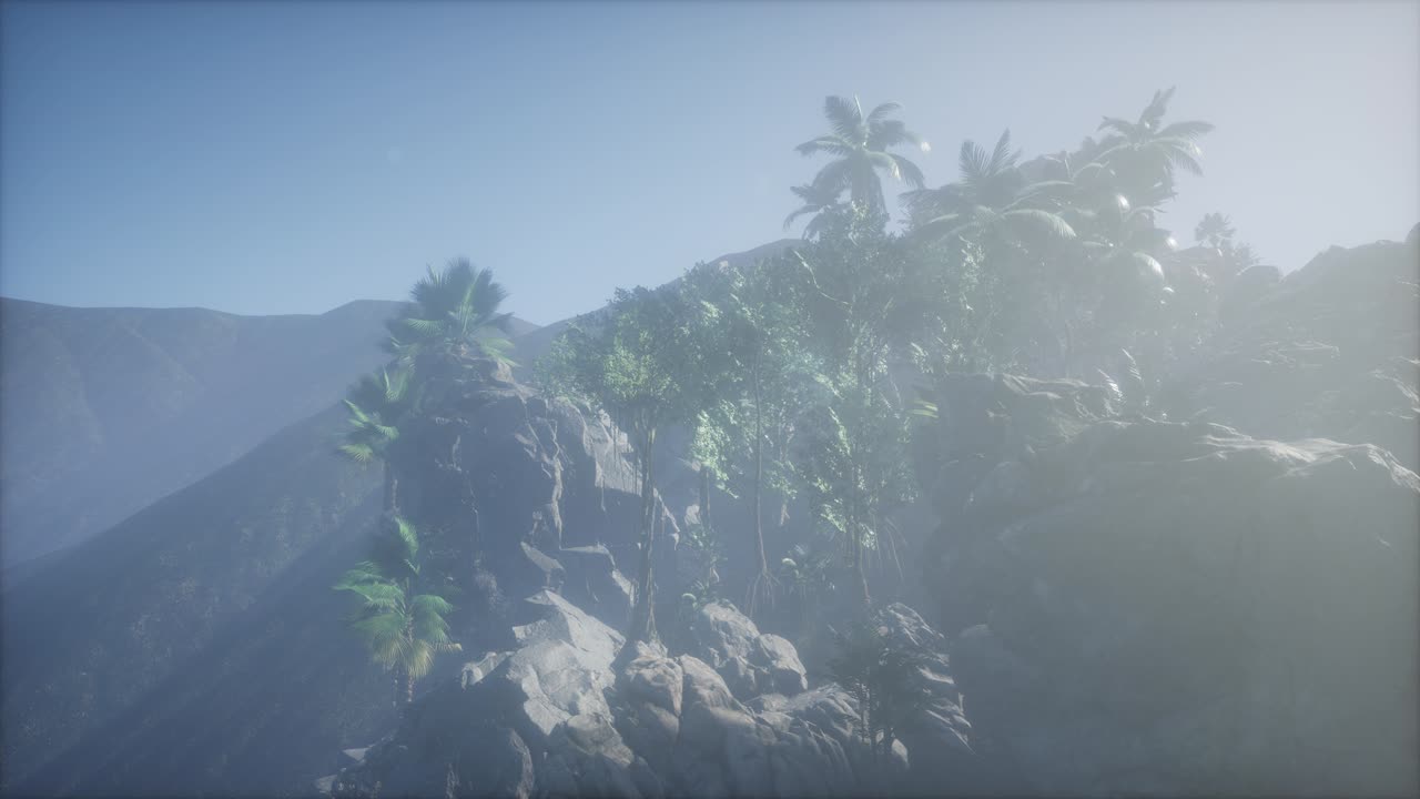 los rayos del atardecer a través de las palmeras