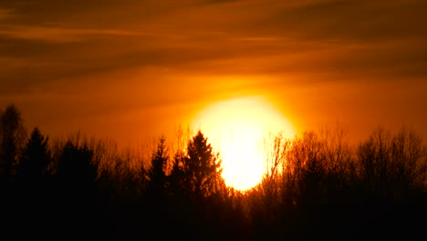 Verträumter-Sonnenuntergang-über-Dem-Wald-Mit-Dramatisch-Brennendem-Himmel-Und-Apokalyptischer-Wirkung