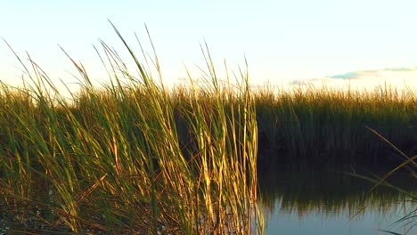 HD-120-fps-jib-boom-up-from-waterway-with-tall-grass-to-reveal-Atlantic-City-skyline-in-distance-with-mostly-clear-sky-near-golden-hour