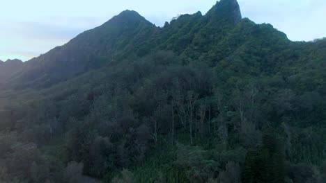 Aerial-rising-shot-of-Nuuanu-Pali-revealing-view-of-Kaneohe-in-background,-Hawaii