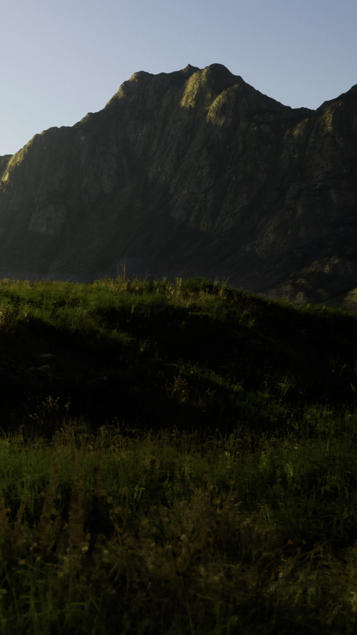 The scene shows a landscape with grass covering the ground in the foreground