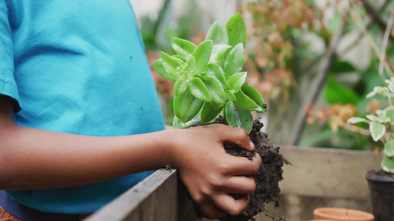 sección media de un niño afroamericano sosteniendo una planta en el jardín