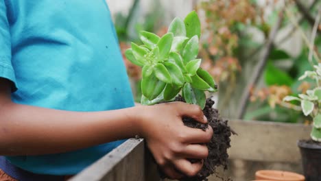 Mittelteil-Eines-Afroamerikanischen-Jungen,-Der-Eine-Pflanze-Im-Garten-Hält