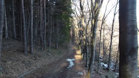 Slow-moving-cinematic-drone-clip-moving-through-a-forest-pathway-with-trees-and-snow-melting-on-the-sides-in-the-area-of-Vitosha,-close-to-Sofia,-Bulgaria