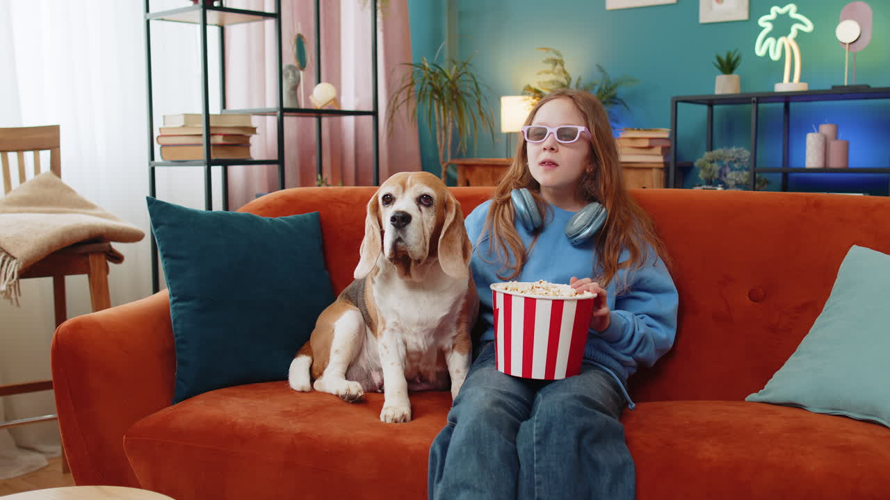 Girl child in 3d glasses eating popcorn watching tv serial sport game film with beagle dog at home