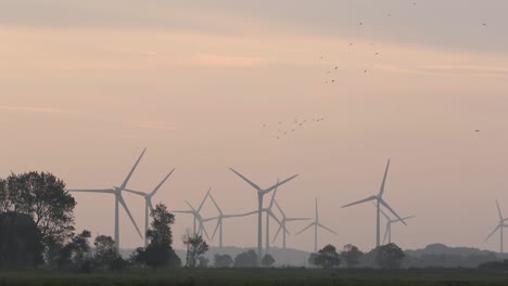 Vogelschwärme-Fliegen-Im-Frühen-Morgenlicht-An-Einem-Windpark-Vorbei