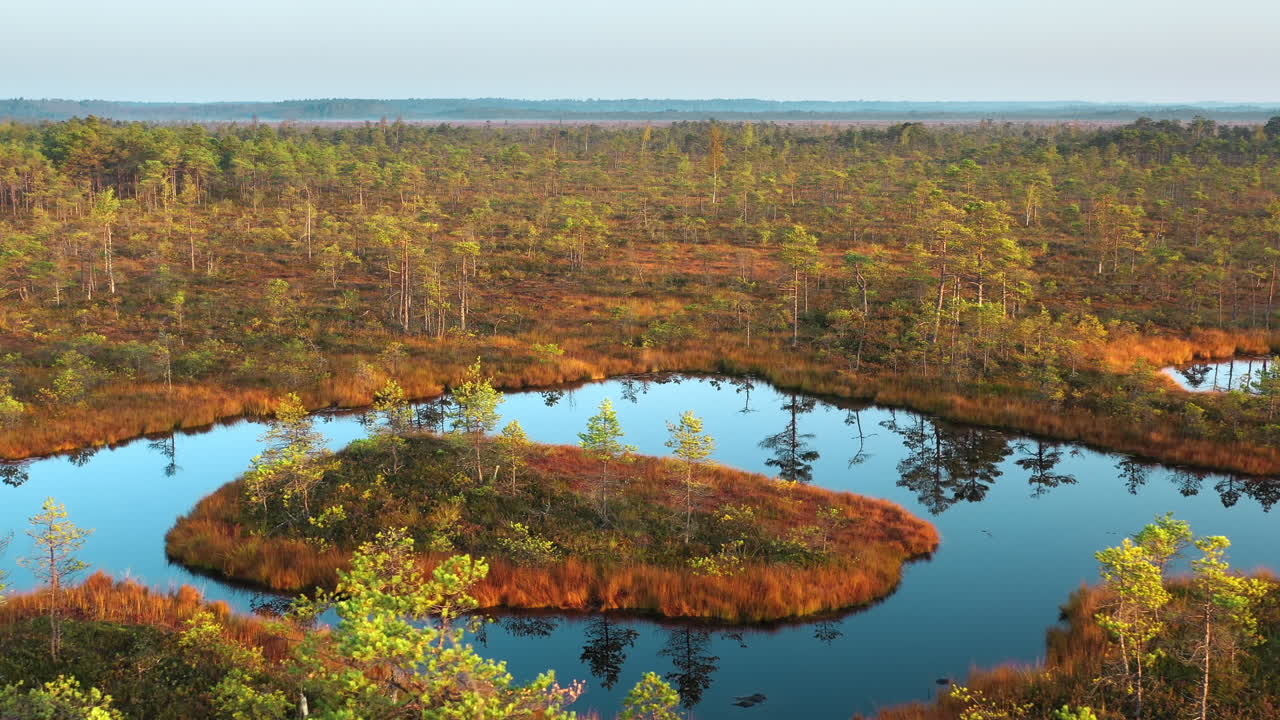 Countryside valley wetland marsh bog, wildlife habitat, 4K aerial view