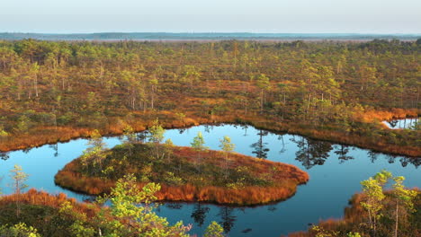 countryside valley wetland marsh bog, wildlife habitat, 4k aerial view