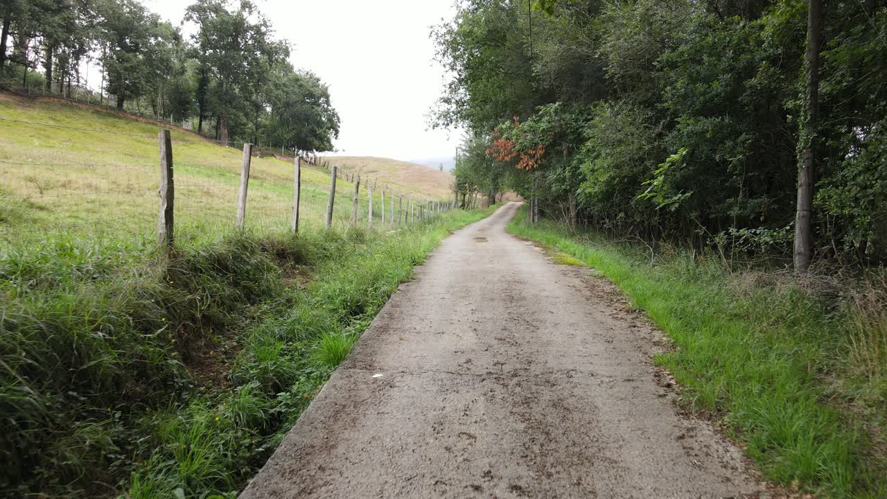 Nature trail filmed from a drone flying close to the ground, among trees and hills in a forest in the Basque Country