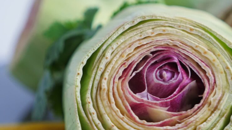 Cut fresh artichokes on plate, rotating. Closeup. Nobody
