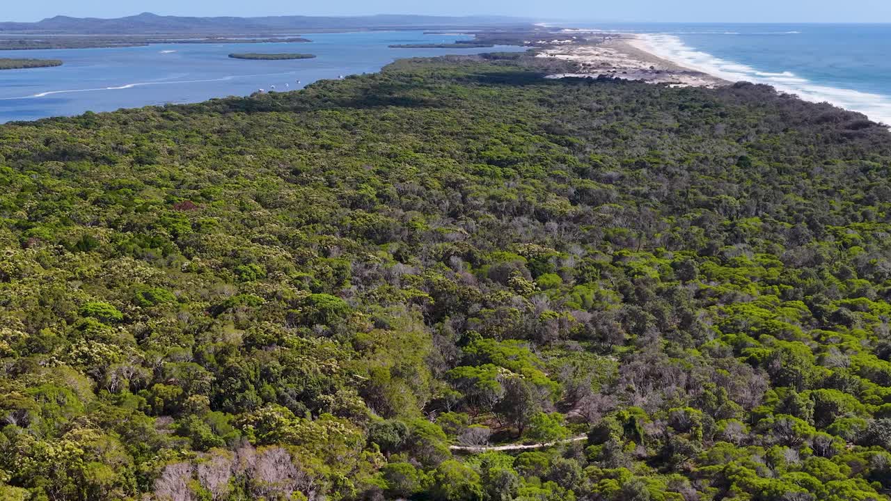 Højtliggende droneoptagelse afslører frodig, grøn skov, der møder havet under klart sollys