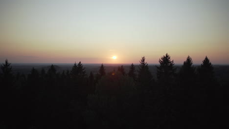 red sun at sunset over trees silhouette