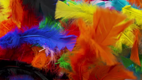 brightly colored feathers gently falling into a heap