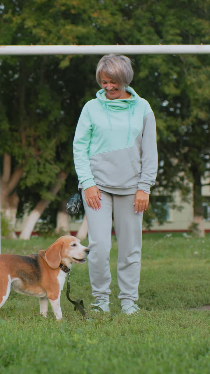기쁜 표정의 백인 노년 여성분이 들판에서 비글과 함께 놀고 있어요. 활기차게 물건을 가져오고 장난기 넘치게 점프하며, 여성분은 무릎을 꿇고 웃으면서 간식으로 보상을 해 줍니다. 강아지는 꼬리를 흔들고 깡충거리고, 목줄은 느슨하며, 아침 햇살이 비추는 가운데 활기찬 모습이에요.