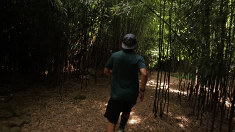 Young-man-teenager-runs-through-a-bamboo-forest-with-sun-flares