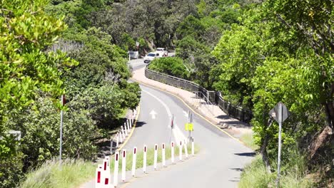 curved road lined with trees and safety barriers