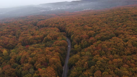 Vista-Aérea-De-Un-Camino-Forestal-Con-Hermosos-Colores-Otoñales-En-La-Parte-Superior-Del-árbol-En-Transilvania,-Rumania,-Tiro-Revelador