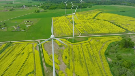 Aerial-establishing-view-of-wind-turbines-generating-renewable-energy-in-the-wind-farm,-blooming-yellow-rapeseed-fields,-countryside-landscape,-sunny-spring-day,-drone-shot-moving-forward,-tilt-down