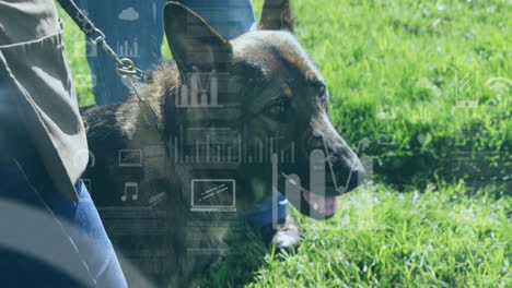german shepherd dog panting on grassy field next to owner, showing pet health graphs and icons