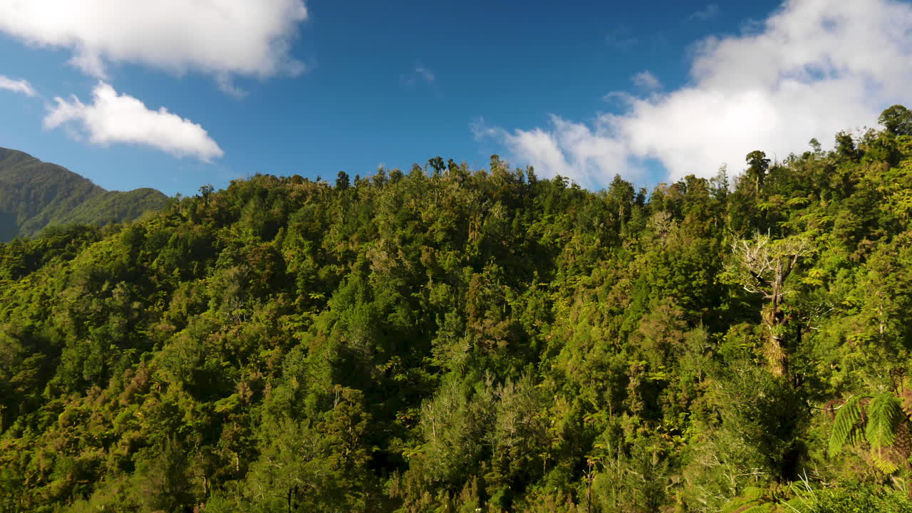 toma panorámica de la jungla verde durante el día soleado y el cielo azul en nueva zelanda