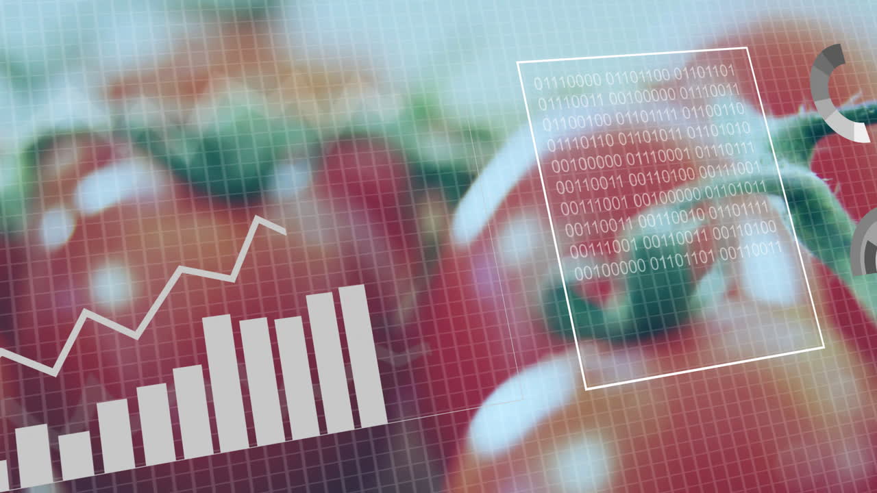Bar graph and binary code animation over close-up of tomatoes