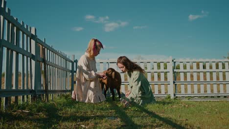 two girls feeding a sheep in a fenced pasture
