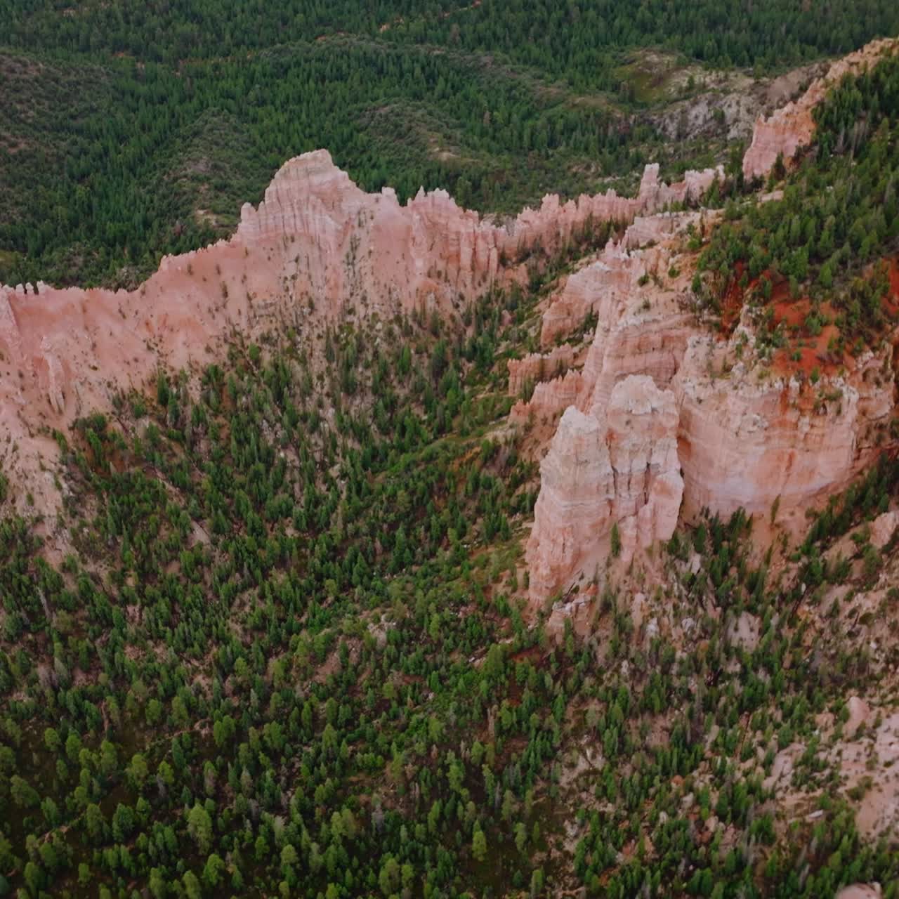 Bare rocks peeking out from the green pine tree forest. Beautiful Bryce Canyons in Utah, USA from aerial perspective