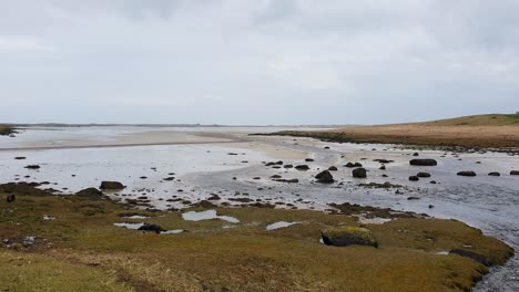 coastal landscape with rocks at low tide
