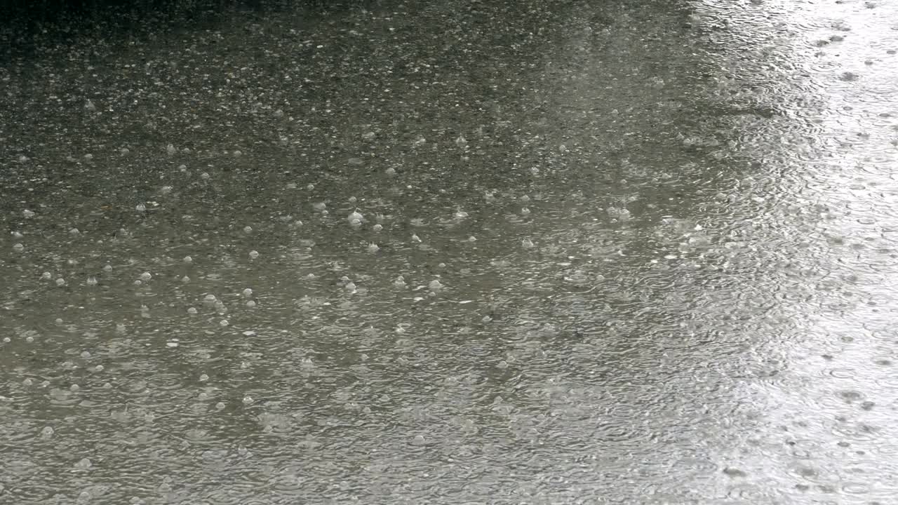 gotas de lluvia ondulando en un charco en una carretera de asfalto