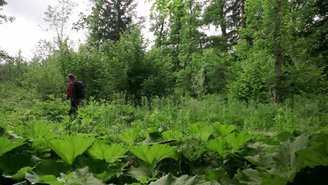 photographer walking past a green lush area in the mountains from right to left