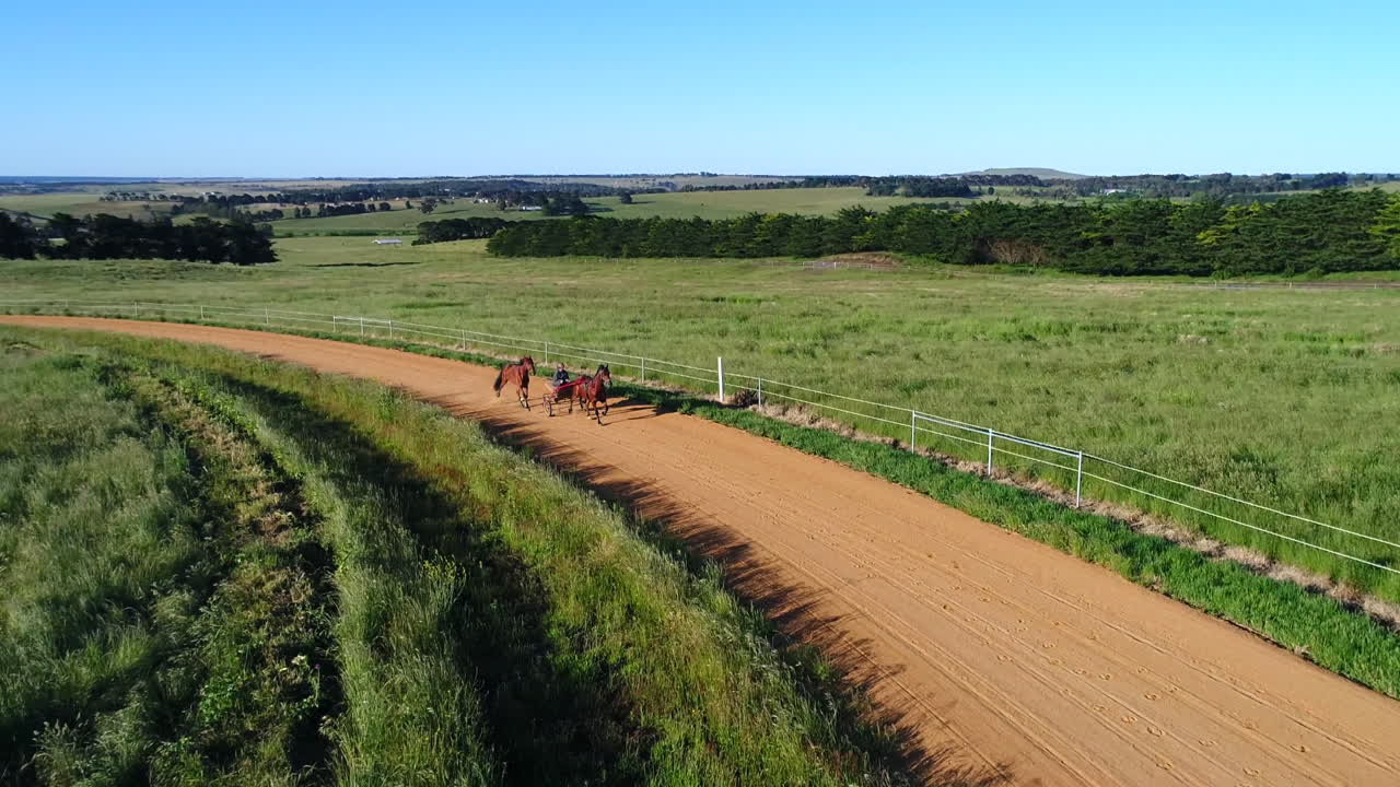 increíble dron sobre pista de caballos de arnés